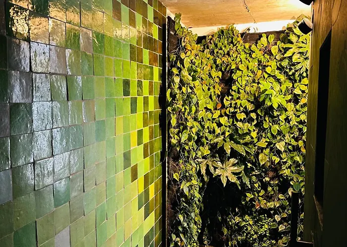 Traeumerei Gmbh Michelstadt